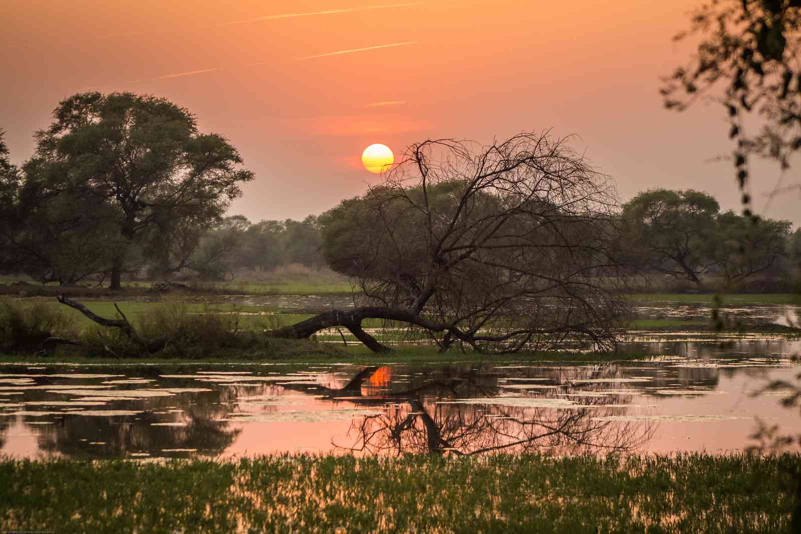 Keoladeo National Park
