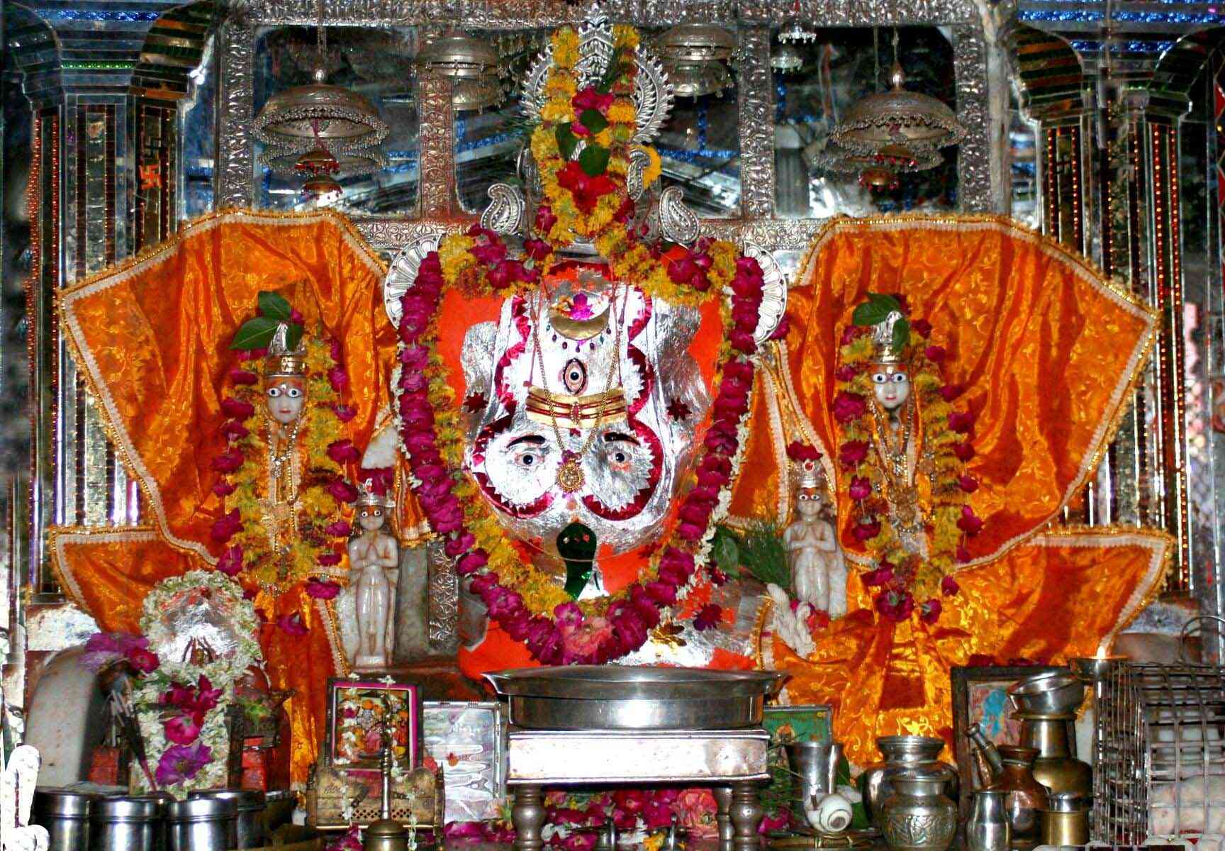 #ganeshchaturthifestival #longweekend #trinetraganeshtemple #ranathambore #rajasthan