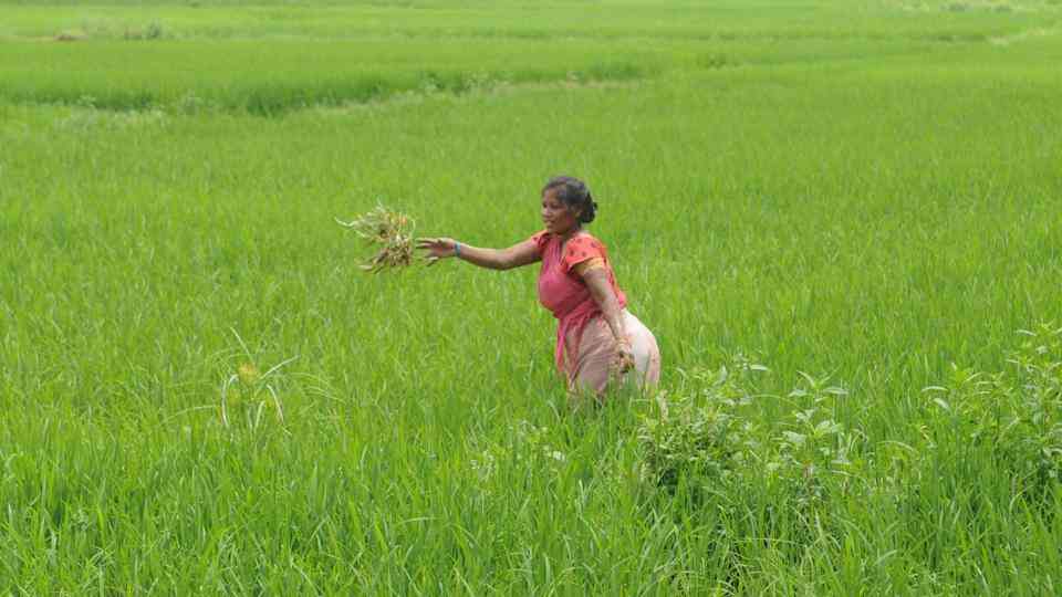 The project (called Production with Protection) was launched to provide security to crops, farmers and environment
