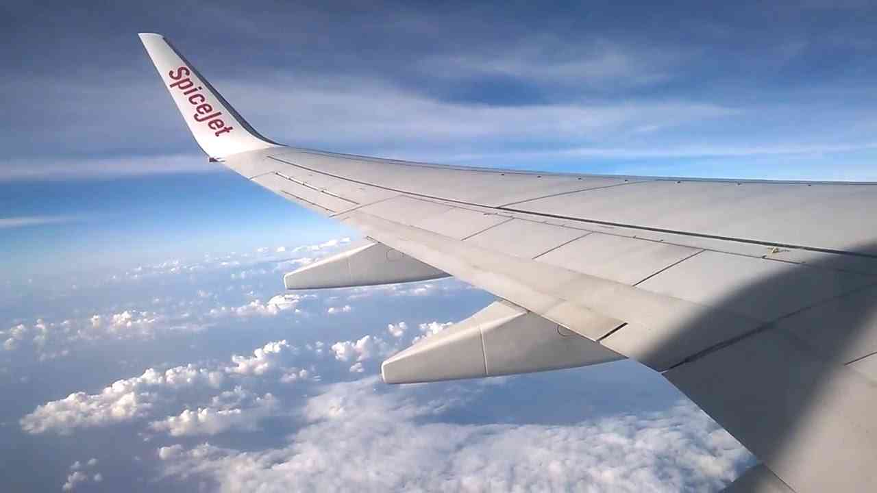 spicejet wings
