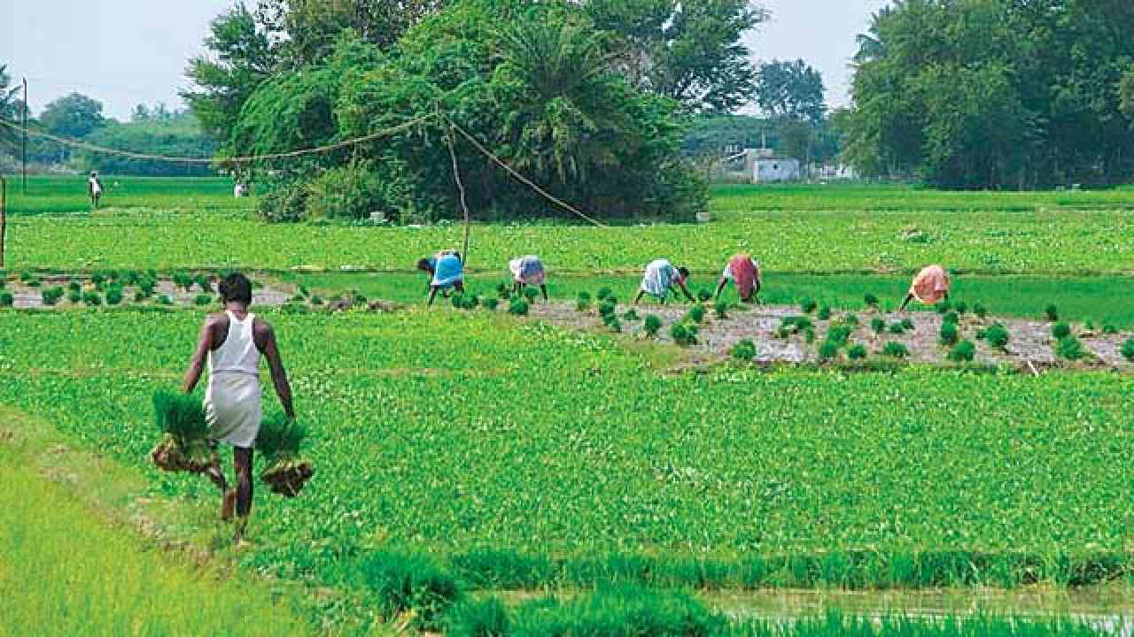 à¤°à¤¾à¤œà¤¸à¥à¤¥à¤¾à¤¨ à¤•à¥‡ à¤•à¤¿à¤¸à¤¾à¤¨à¥‹ à¤•à¥‹ à¤¸à¤°à¤•à¤¾à¤° à¤•à¥€ à¤¬à¥œà¥€ à¤¸à¥Œà¤—à¤¾à¤¤