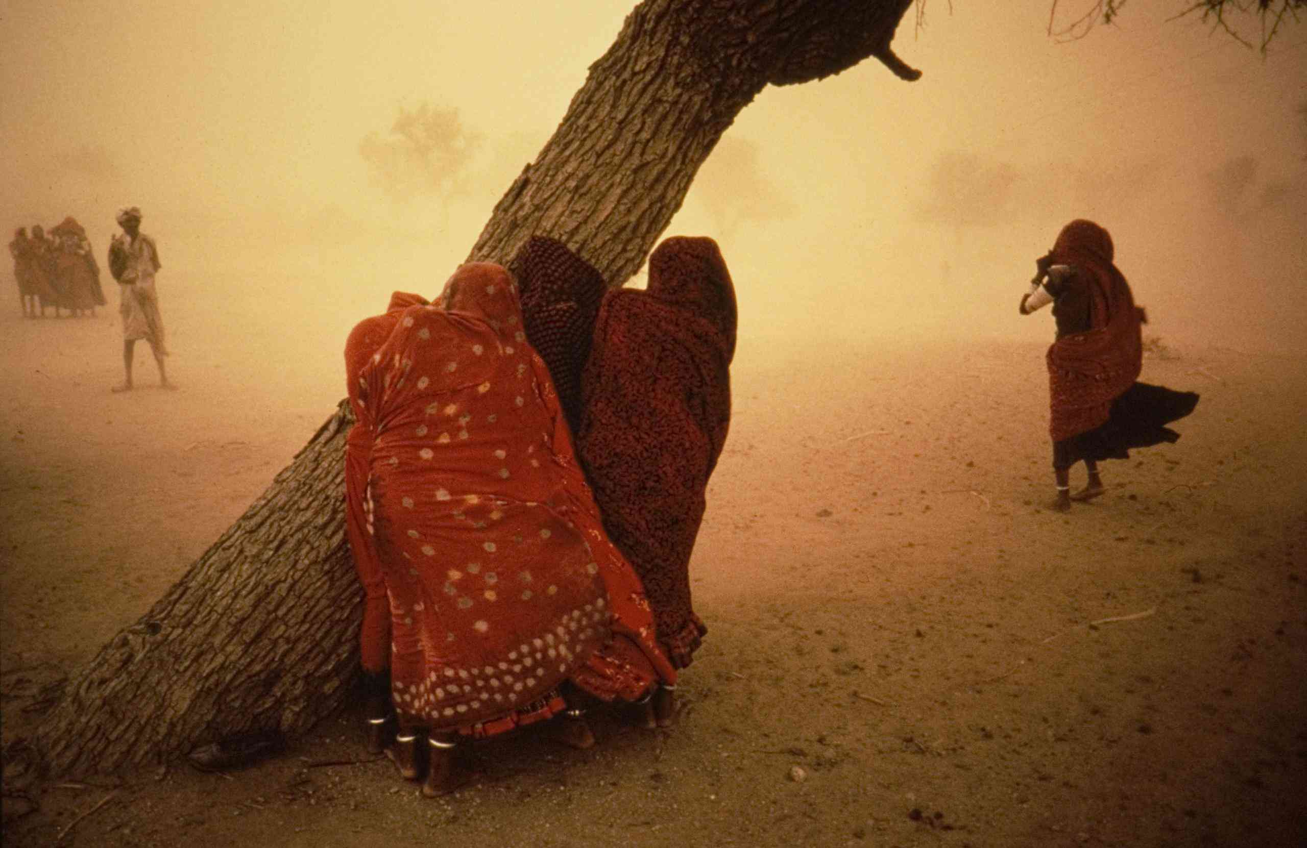 dust storm in rajasthan