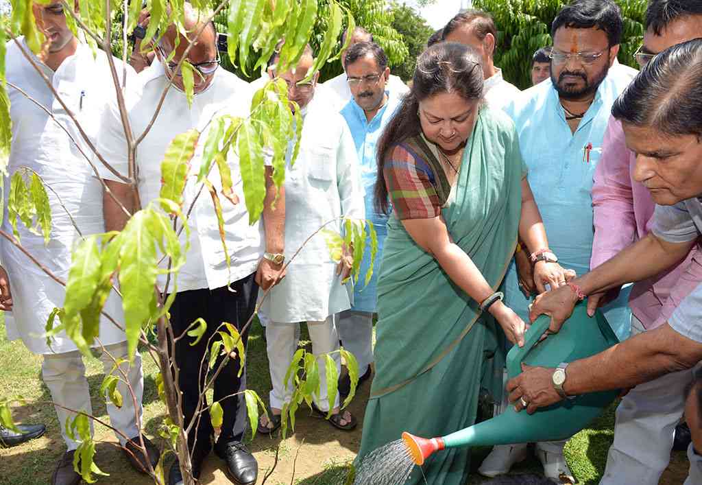 vasundhara raje world environment day