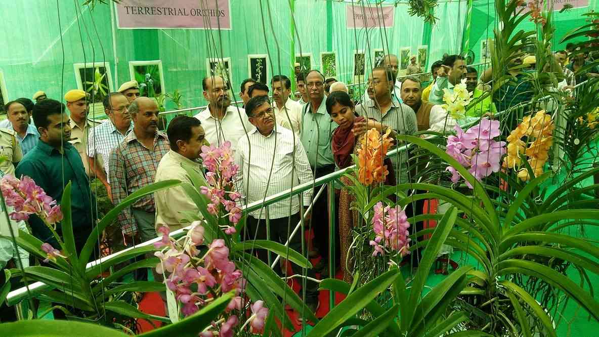 OrChid Festival in Udaipur