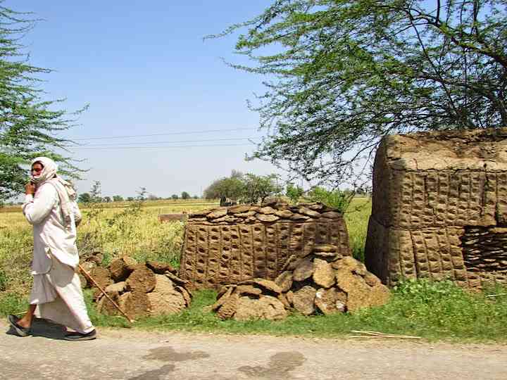 cow dung paper