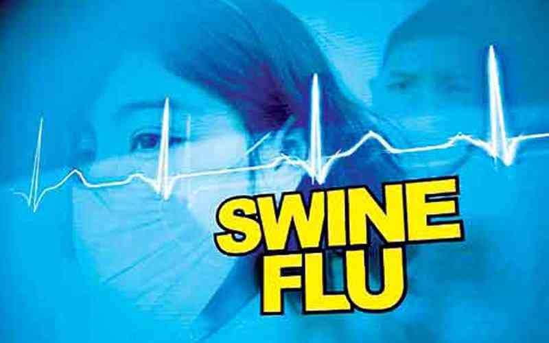 Swine Flu in Rajasthan