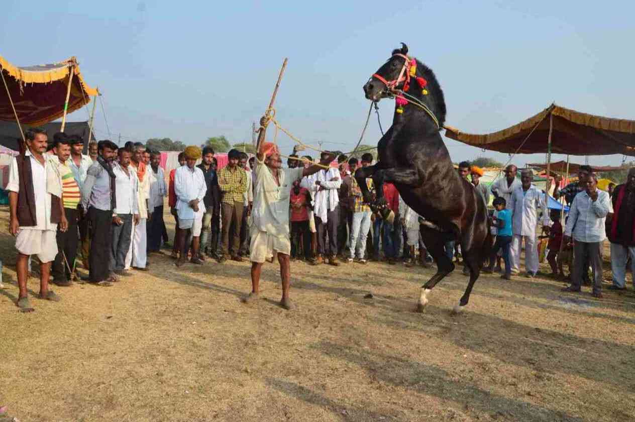 Chandrabhaga Fair 2017 images