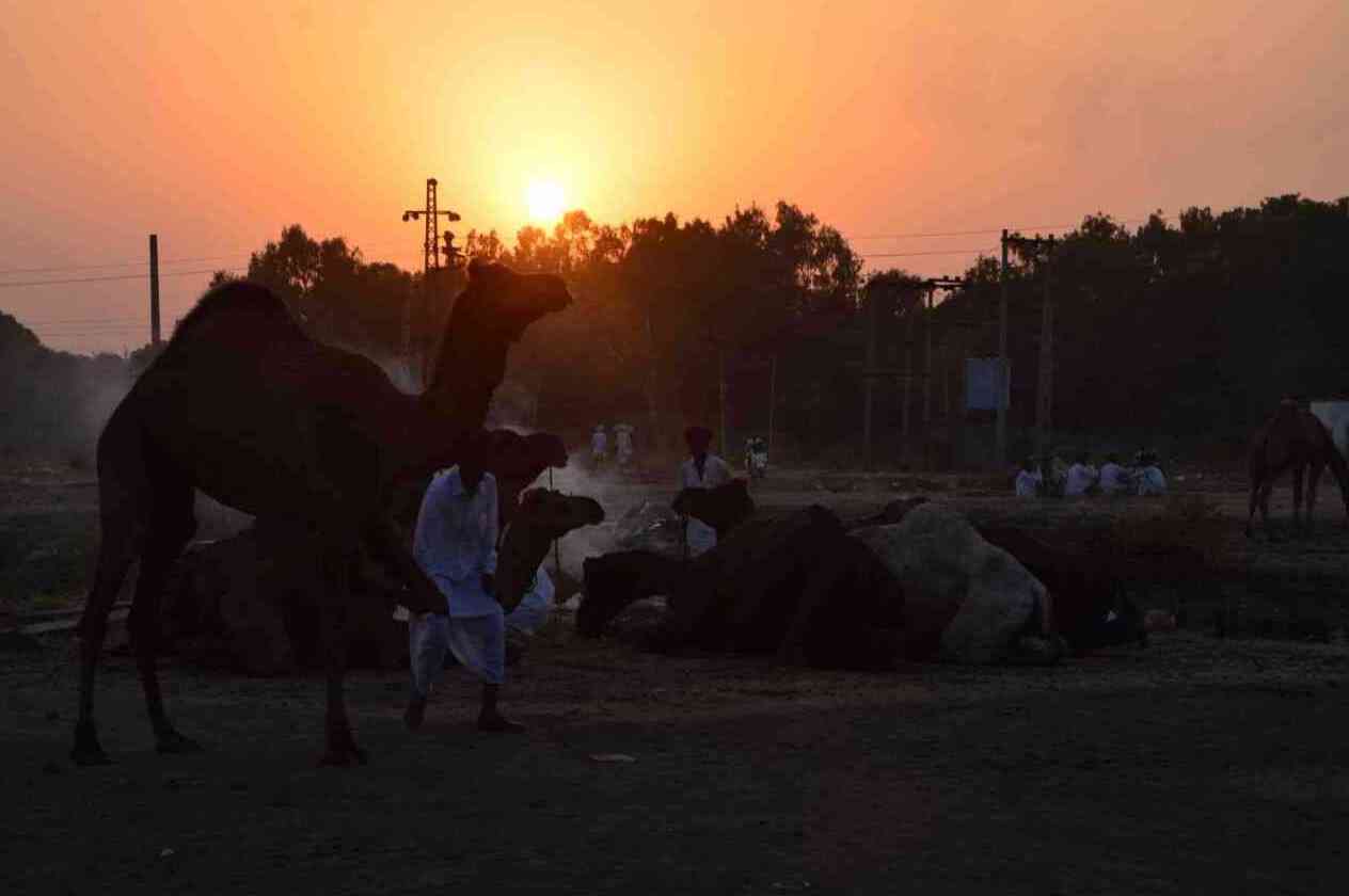 Chandrabhaga Fair 2017 images