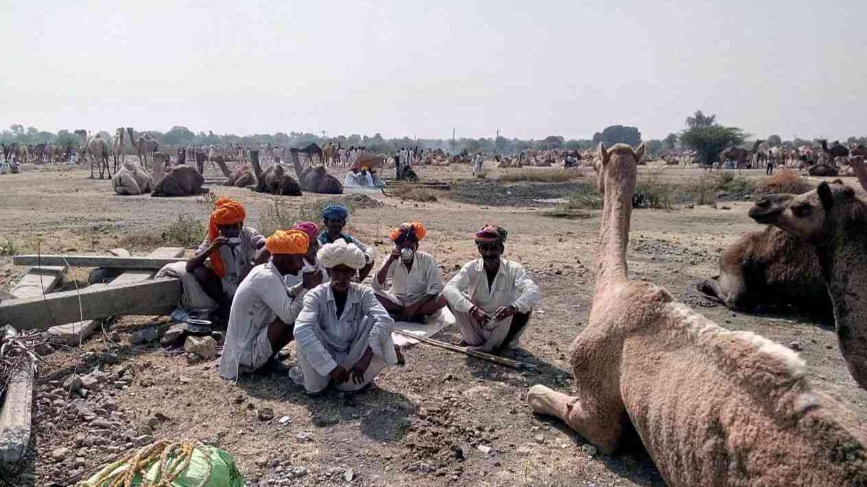 Chandrabhaga Fair 2017 images