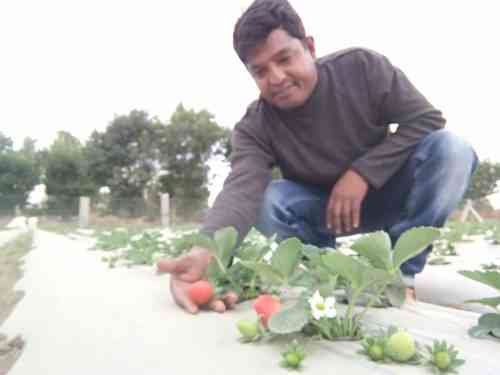 Deepak Nayak