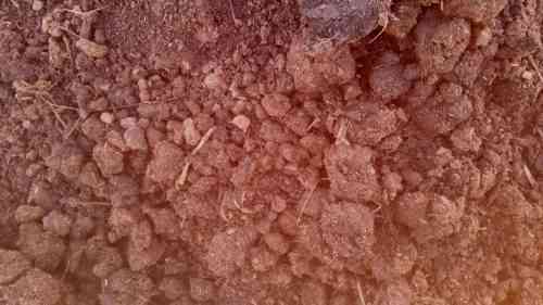 Soil Testing
