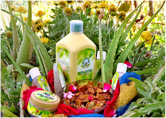 Piplantri village commercial products