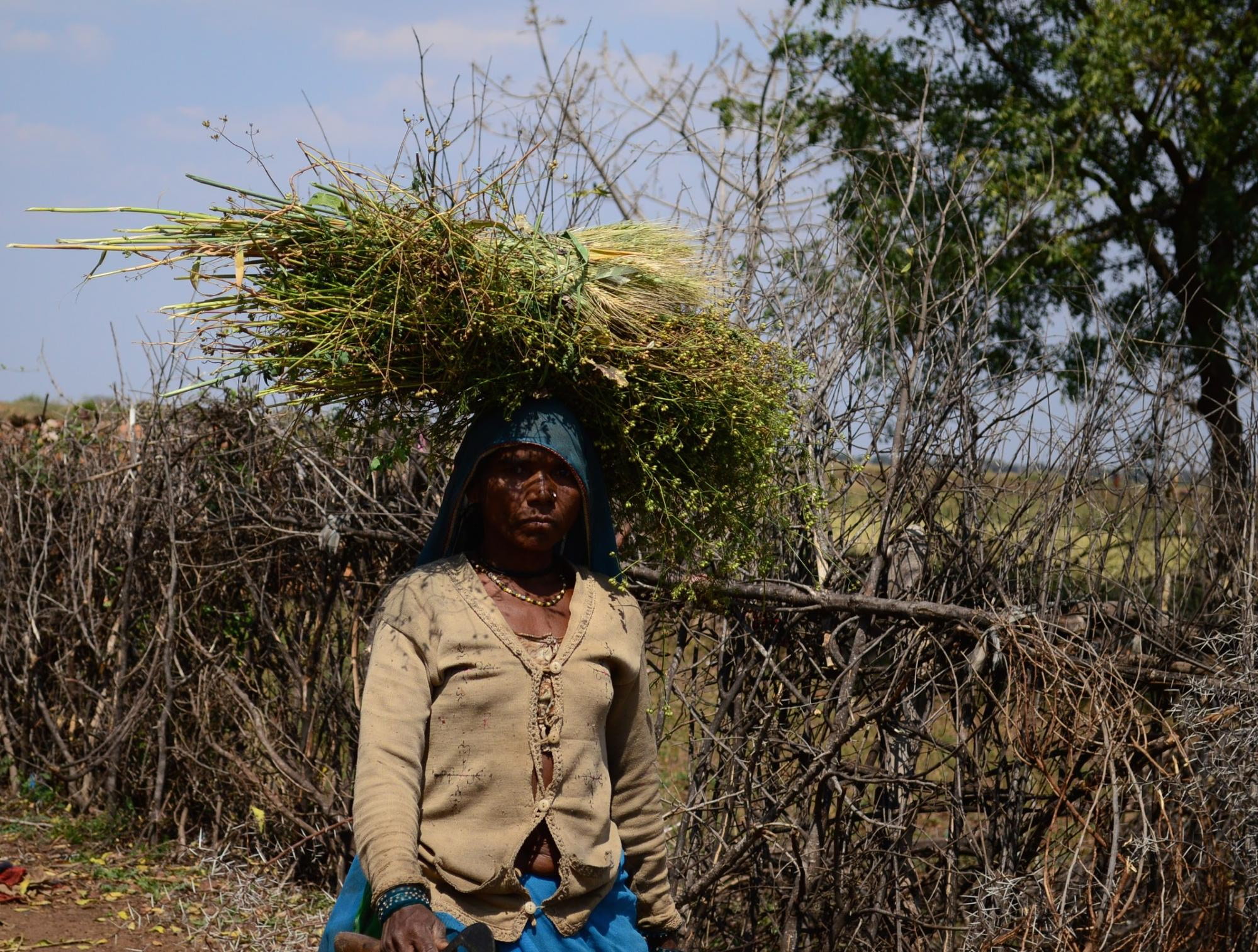 Sahariya labor