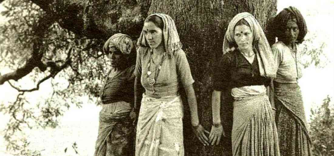 Chipko movement