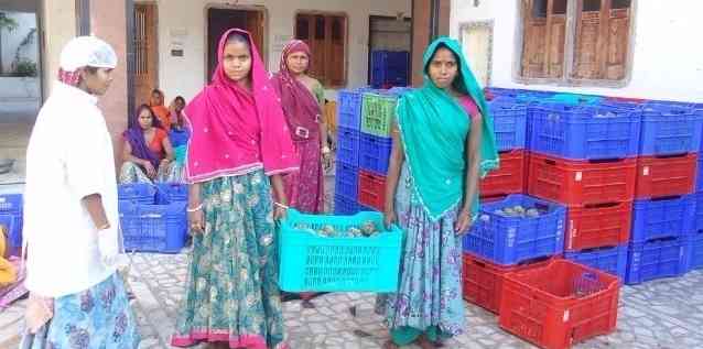 Tribal women of Pali