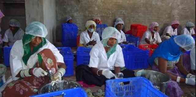 Tribal women of Pali