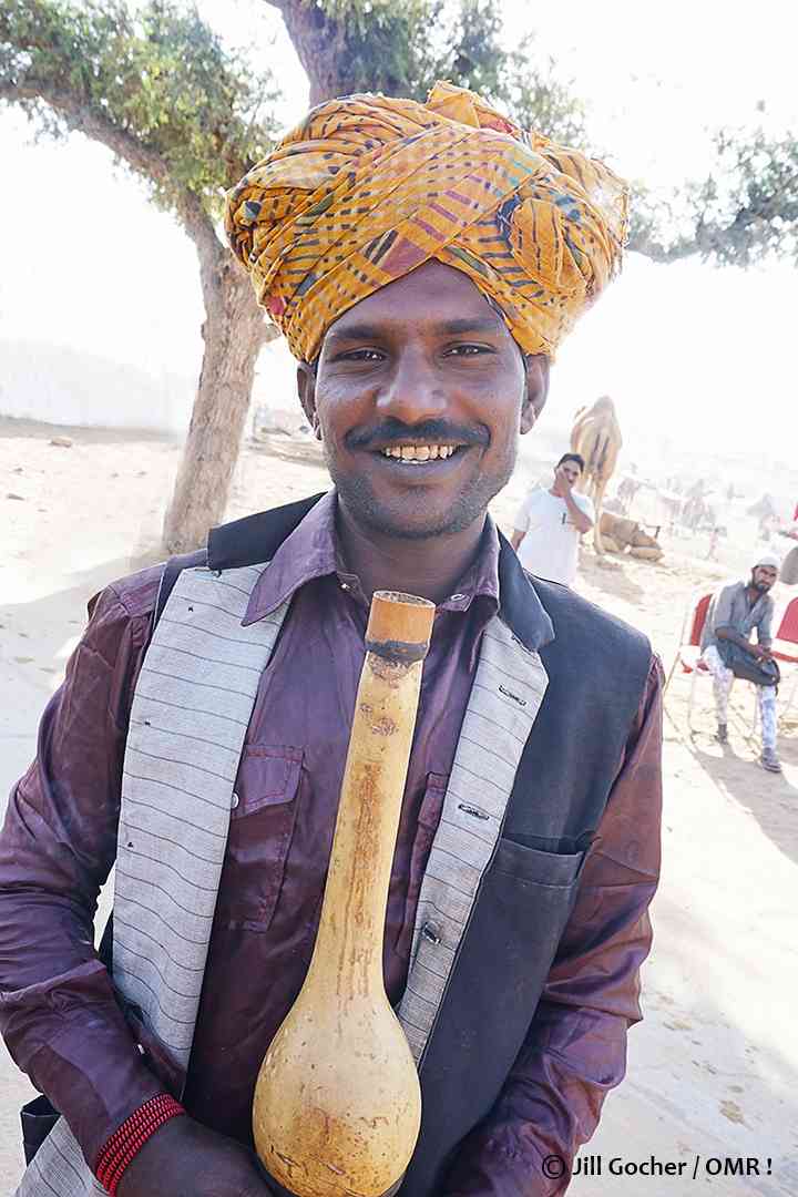 pushkar camel fair images