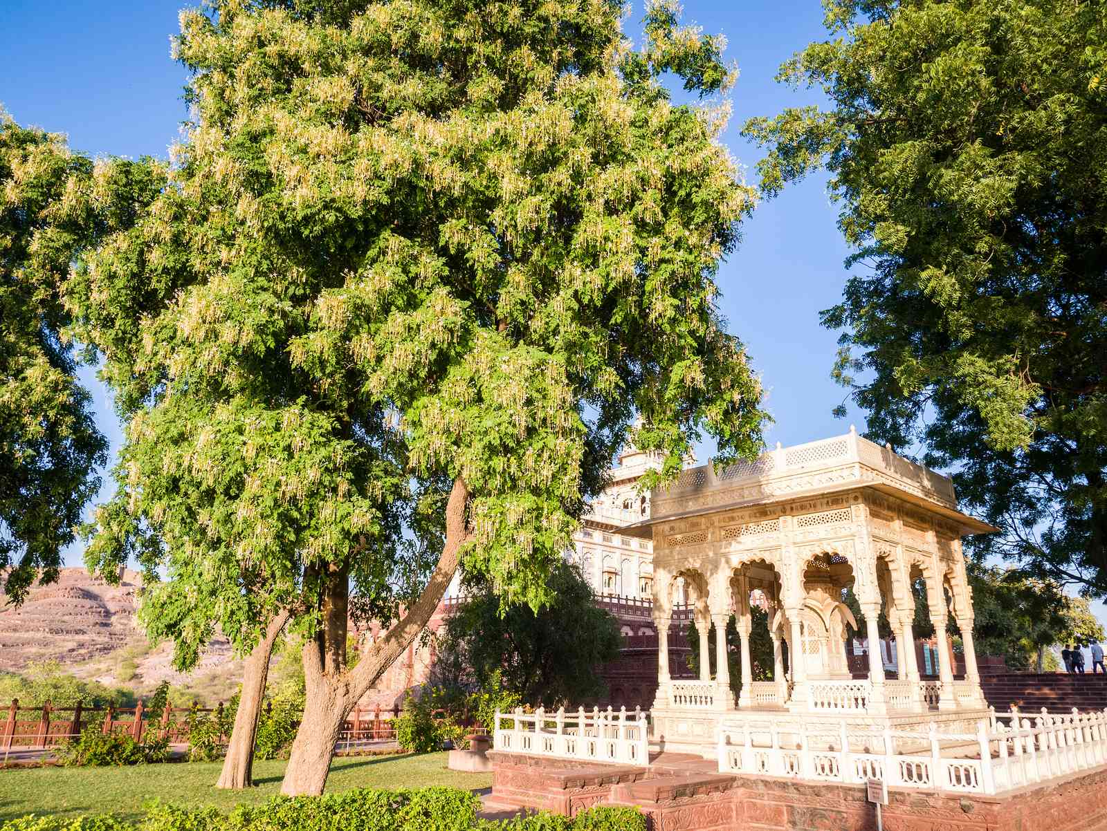 Jaswant Thada Jodhpur | Rajasthan Tourism