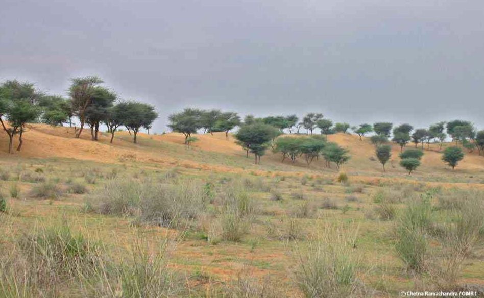 lands of Shekhawati