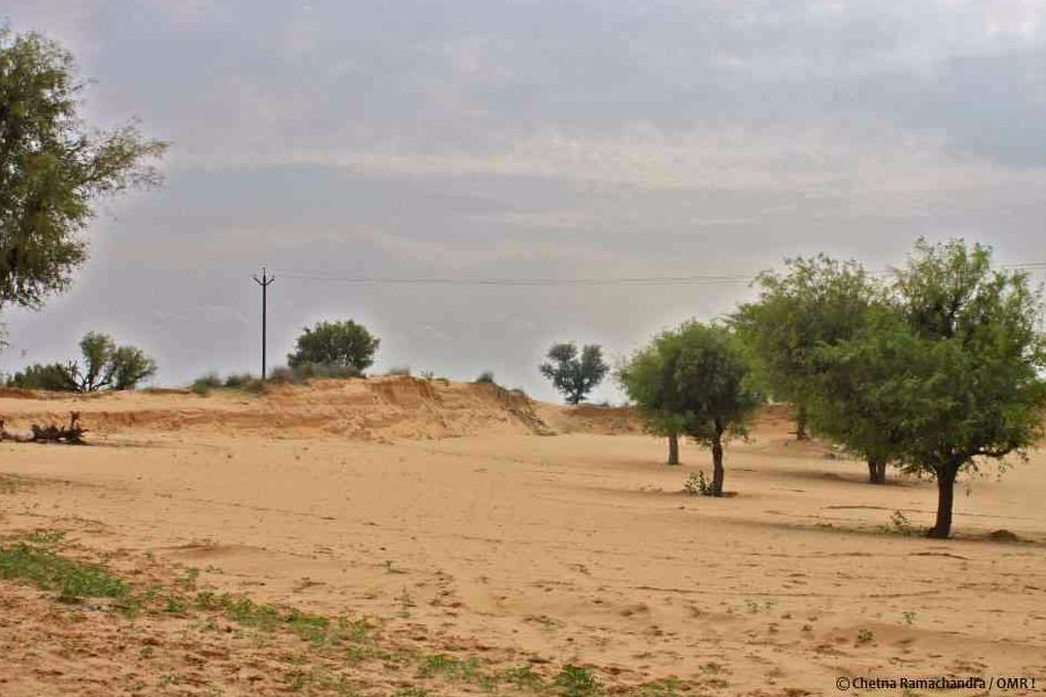 The Thar Desert