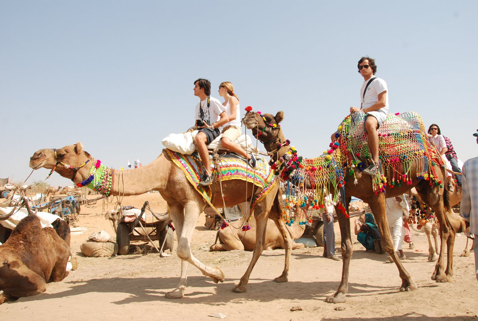 camel safari