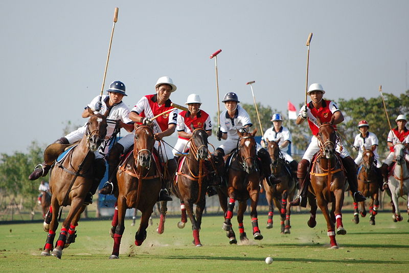 Horse Polo Rajasthan Polo Club