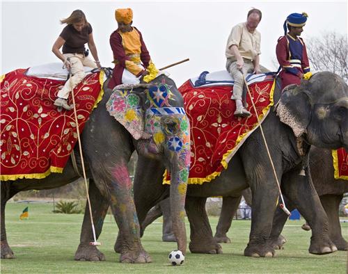 Elephant Polo