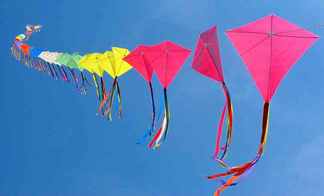 Kite Festival Jodhpur
