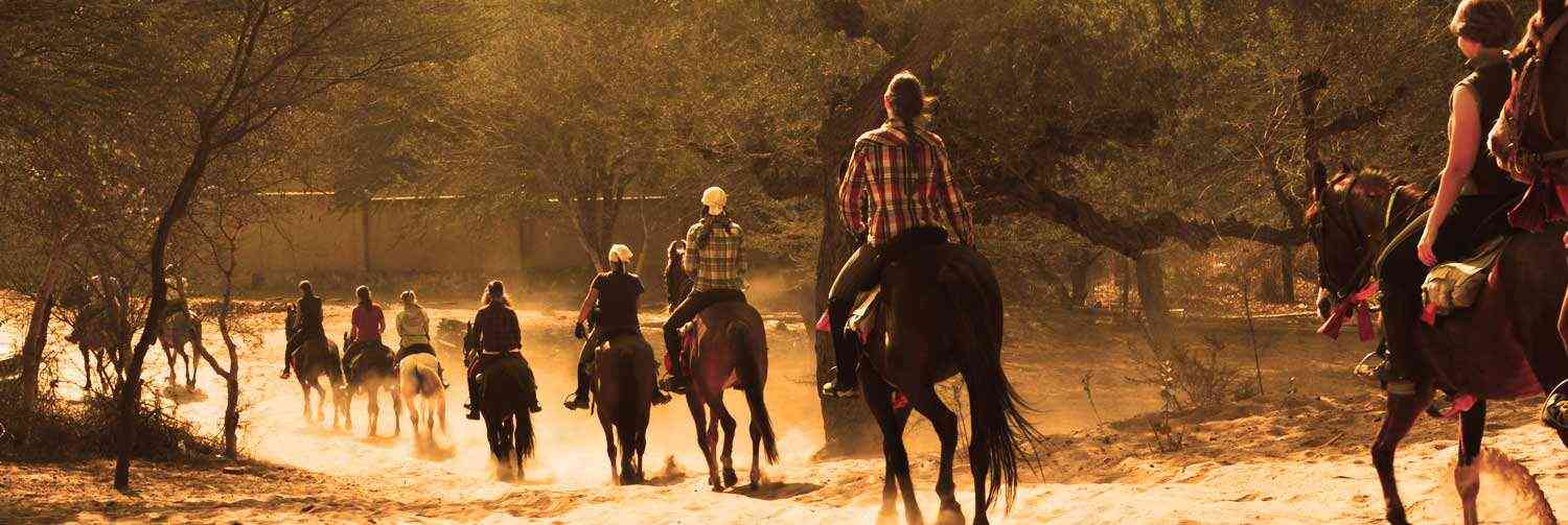 Rajasthan Safari Tour