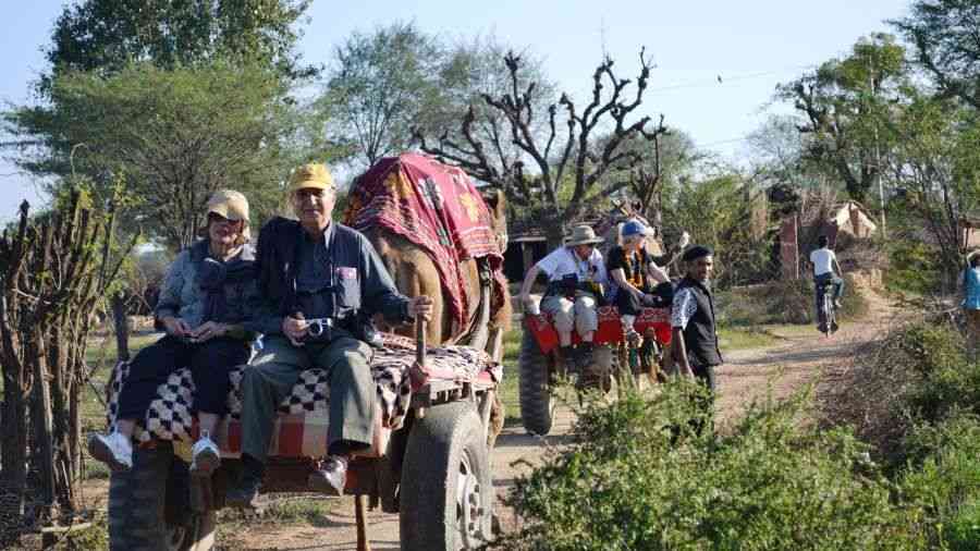 Rajasthan Safari Tour