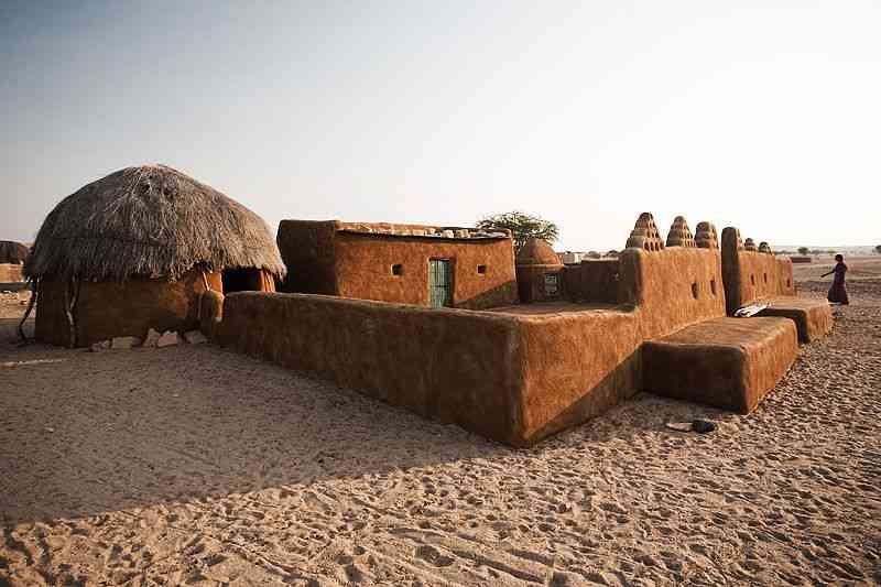 camel safari