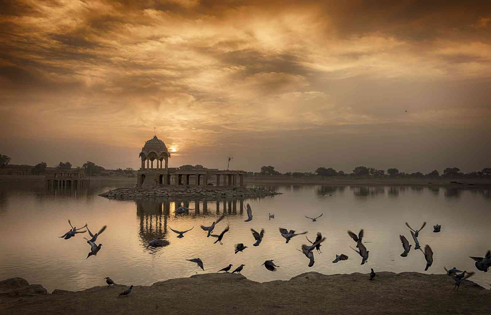 Migrating Birds at Gadsisar Lake