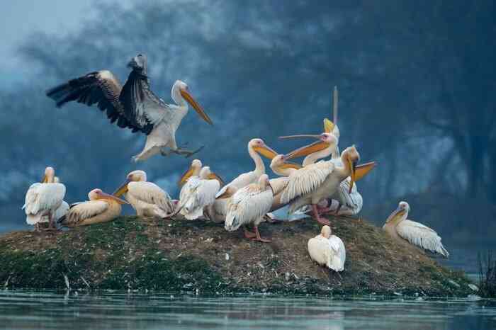 Bharatpur- Best Time to Travel