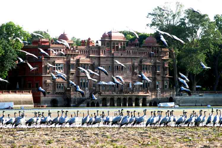 Places to visit in Bikaner- Gajner Palace 