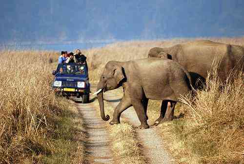 Rajasthan Tourist Destinations nearby Delhi- Sariska National Park