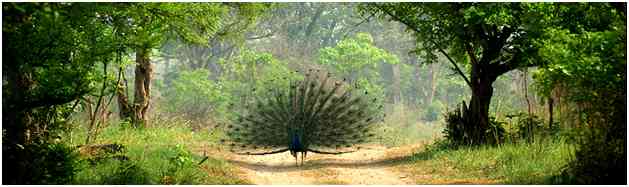Ranthambore National Park, Ranthambore