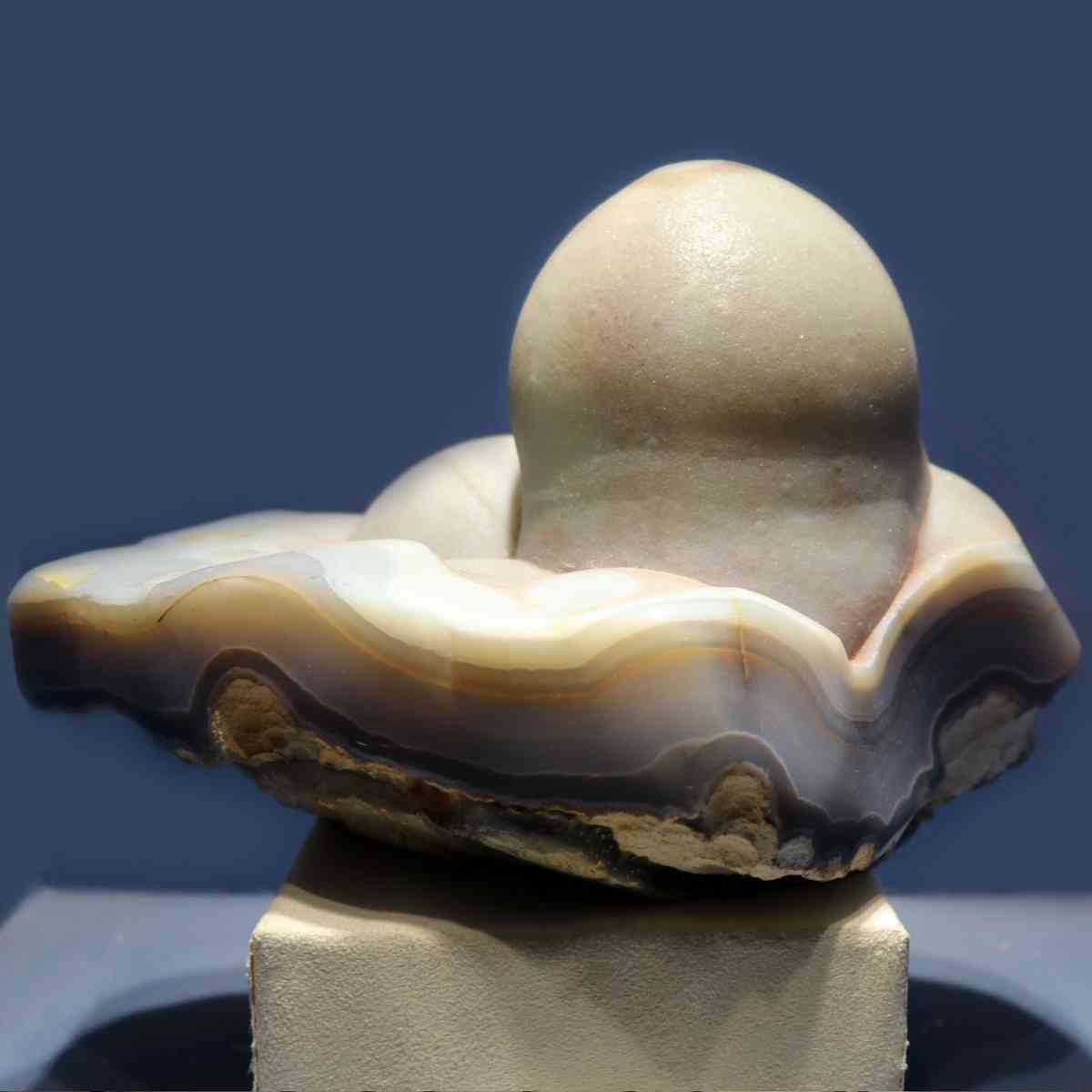 Museum of Gem and Jewellery