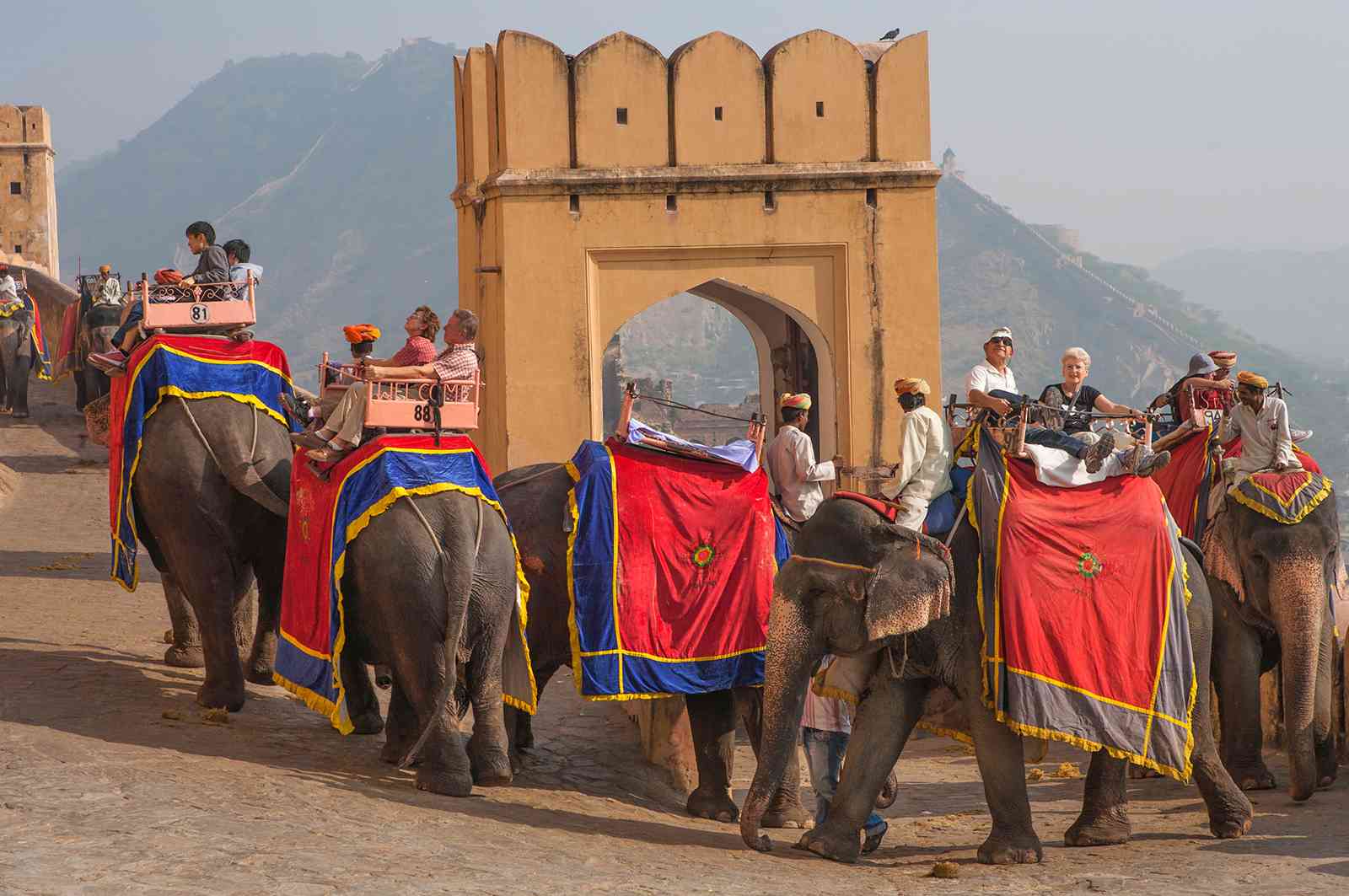 Amer Fort Elephant Ride