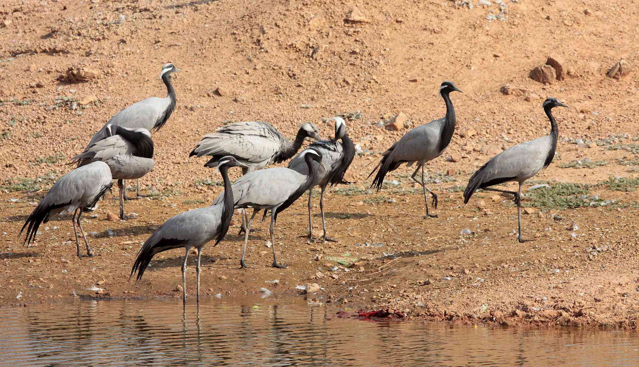 Hottest and Coldest Cities of Rajasthan