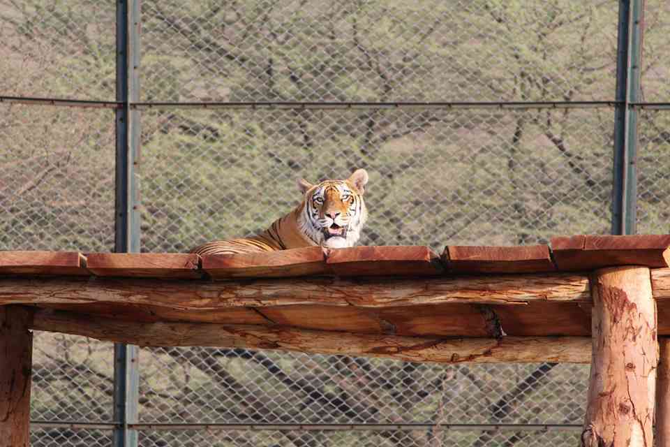 5 Less Explored Tourist Destinations in and around Jaipur