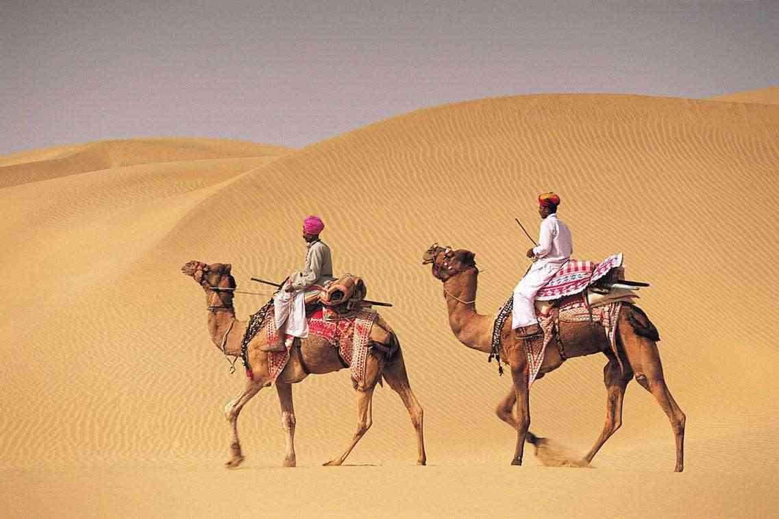 Things to do it Bikaner