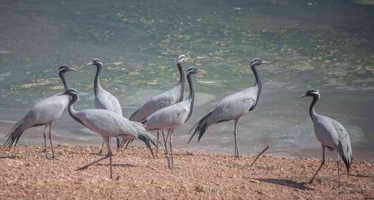  Places to visit near Jodhpur