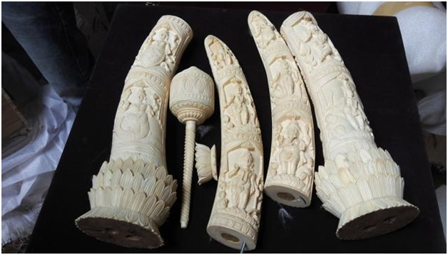 carved ivory artifacts
