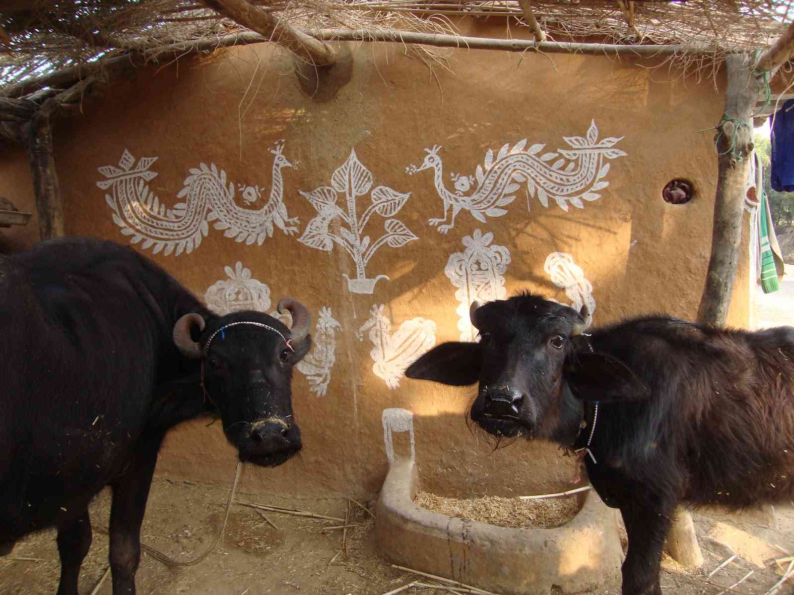 Mandana House Wall Painting