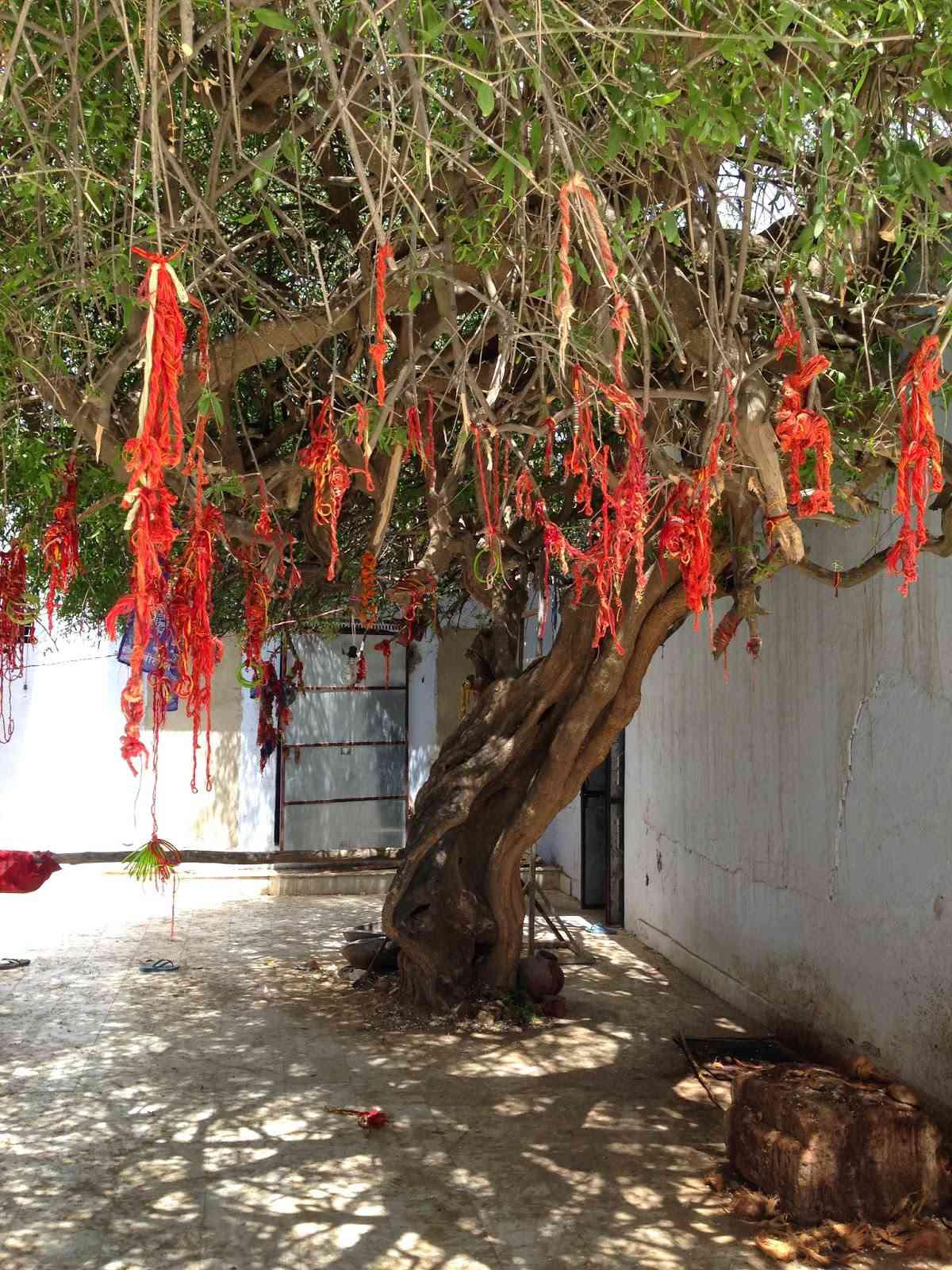 gogamedi temple photo