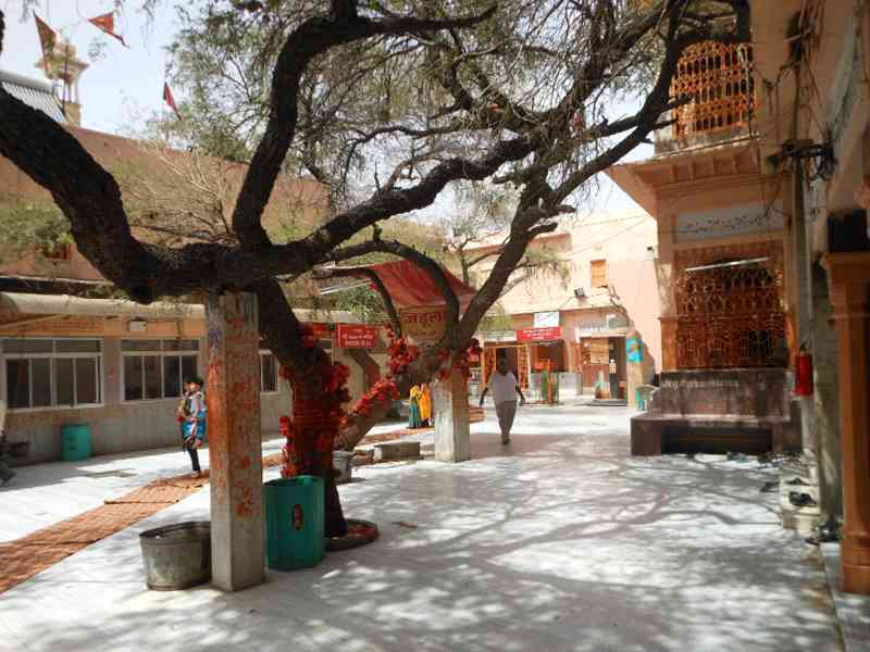 Salasar Balaji Temple