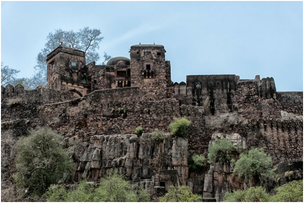 ranthambore national park