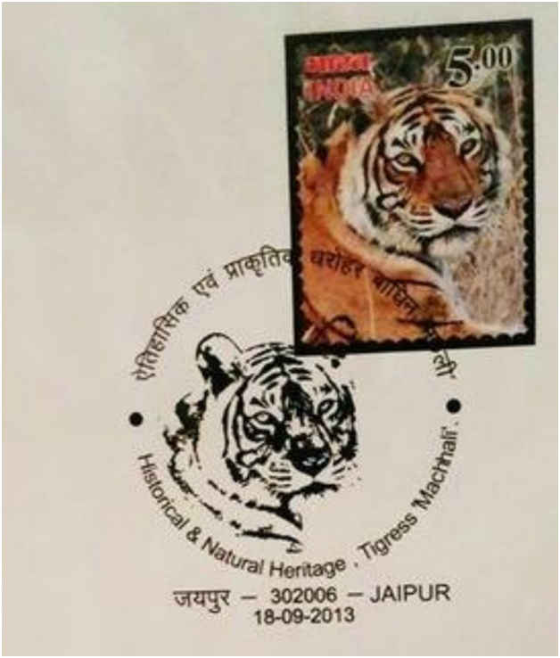 ranthambore national park