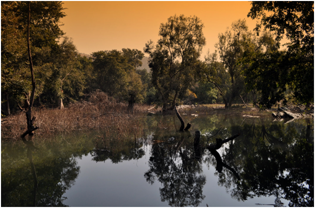 sitamata wildlife sanctuary