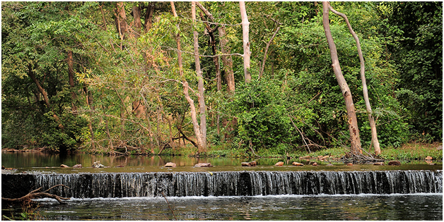 sitamata wildlife sanctuary